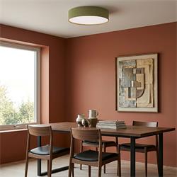 PLAFON TECHO RED. 45 CM 2XE27 VERDE