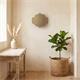 Aplique de Pared en Yute Natural | Serie SELMA