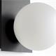 Aplique de Pared Negro con Tulipas Blancas | Serie TAMARA