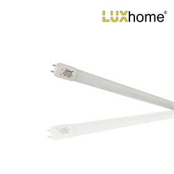 Tubo LED T8 de Vidrio de 600mm, 9W y 6500K | Serie LUXHOME