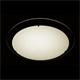 PLAFON STAR MARCO LED 35 CM 12W 3COLORES