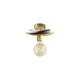 APLIQUE PARED SERIE VERA METAL ORO 1 L 20CM XTRELAMP