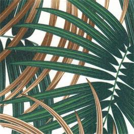 PALMERA