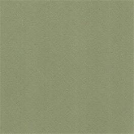 VERDE LIQUEN 418 - Algodón