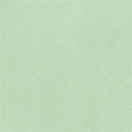 TEJIDO ALGODÓN VERDE AGUA 108